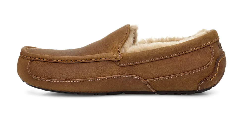 Ascot in Tan by UGG