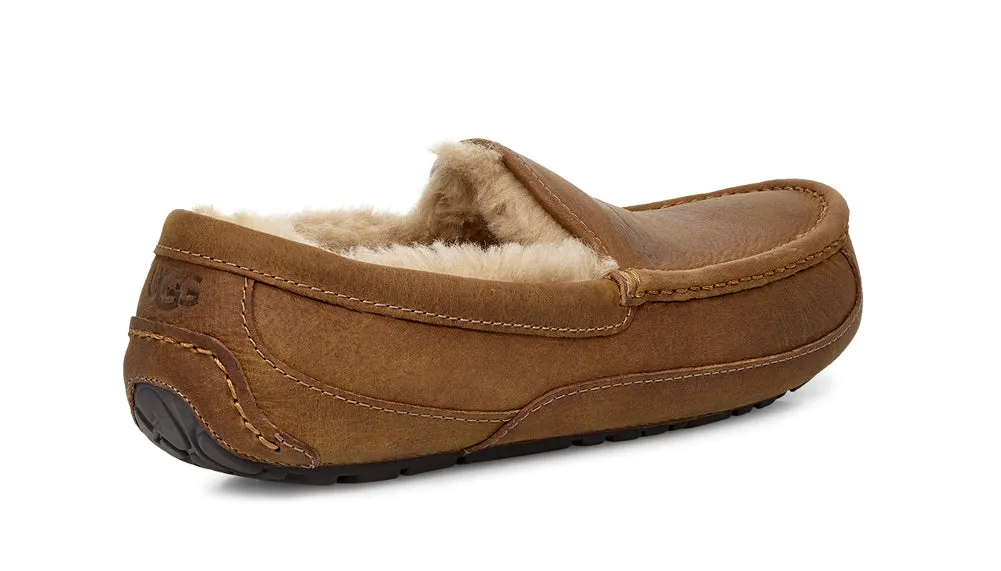 Ascot in Tan by UGG